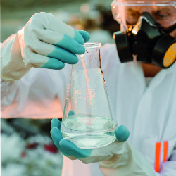 Descripción de la imagen